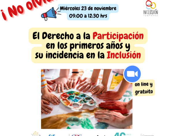 Webinar derecho a la participación